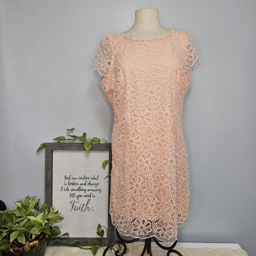 Lace Dress Size 14 New - Picture 3 of 16